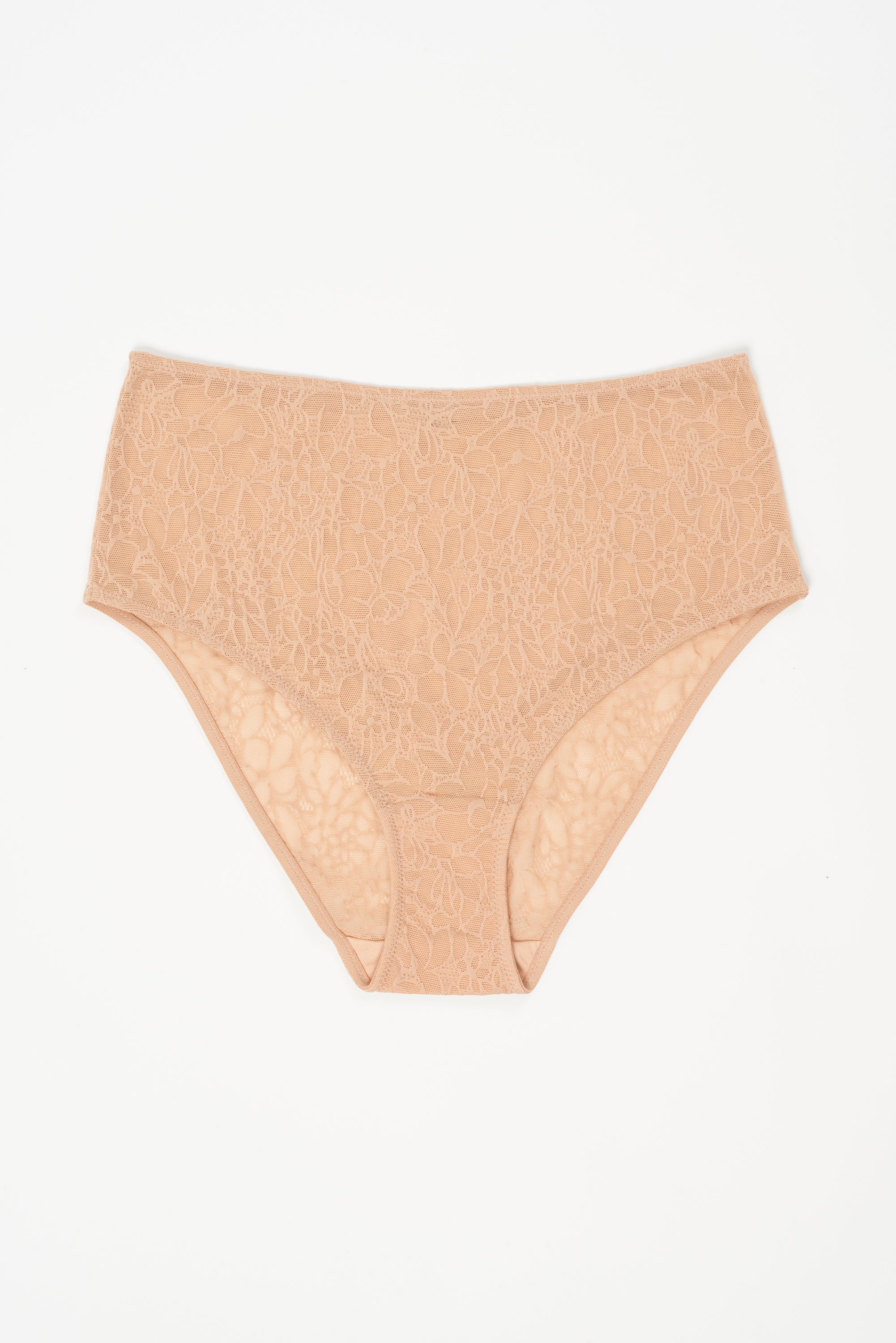 Eden High Waist Brief | Powder